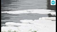 Yamuna sludge may be behind ammonia spikes: Central pollution board study