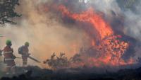 UK heatwave 2026 as Met Office warns of 38C heat and wildfire emergency across Britain