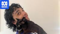 Musician identified as man killed in tree-car crush on Mount Buller