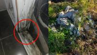 Real estate agent’s shameful response after ‘rotten’ discovery in rental