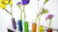 Privi Speciality Chemicals: Strong Q1 Growth Keeps ₹5,000-Crore Vision on Track