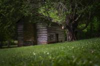10 best folk horror books for readers who are new to the genre