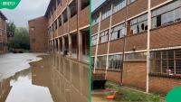 “SA kids, man”: Learners burn school furniture in Alexandra to stay warm, Gauteng MEC condemns act