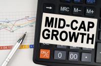 How Are Nick Scali (ASX:NCK), Eagers Automotive (ASX:APE), ARB Corporation (ASX:ARB) and Vita Life Sciences (ASX:VLS) Responding to Sector Change?