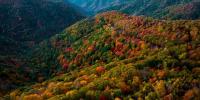 Tired of the heat? Here's when Old Farmer's Almanac says cooler weather will arrive