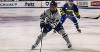 Penn State women’s hockey's Nicole Hall, Jessica Adolfsson selected to represent Team Sweden at Four Nations Tournament
