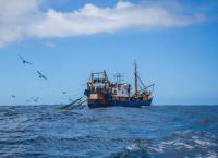 Commercial fishing is draining vital nutrients from the ocean