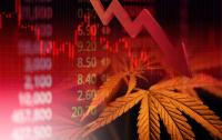 Why Are Incannex Healthcare (ASX:IHL), Cann Group (ASX:CAN), ECS Botanics (ASX:ECS) and Little Green Pharma (ASX:LGP) Back in the Market Spotlight?