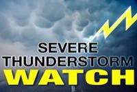 8/11: Weather Forecast Update