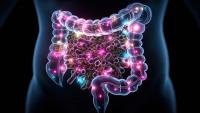 Ultraprocessed Foods and the Gut Microbiome