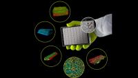 Bruker Takes Majority Stake in dutch MIMETAS as Organoid Technologies Move Into the Mainstream