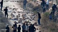 Settlers clash with IDF, block roads in Kusra, West Bank, after army dismantles nearby outpost