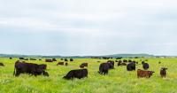 NCBA names regional Environmental Stewardship Award winners