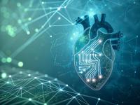 From Diagnosis to Wellness, AI’s Healthcare Revolution