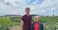 Local gardeners growing frustrated with theft and vandalism