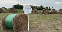 Tragedy brings small Minnesota town together