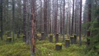 Boliden's mining concession for Laver maintained as appeals rejected
