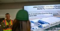 USDA fast-tracks Texas screwworm facility by 7 months