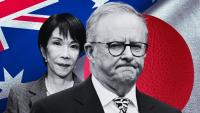 Japanese ambassador backs Albanese over controversial melon comments