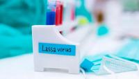 Lassa Fever Claims 237 Lives In Nigeria As Fatality Rate Rises To 23.7%