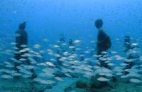 Kep’s Next Attraction Is Underwater: Art Gallery Aims to Put Province on Global Tourism Map