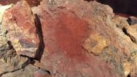 India's iron-ore approach for ambitious steelmaking strategy can shape global demand, ...