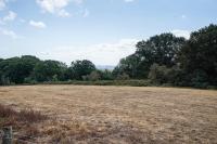 Britain needs a long-term strategy on tackling extreme weather conditions such as drought