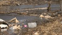 FEMA denied Michigan's tornado aid appeal; survivors still have other options, SBA says