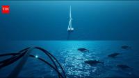 California is developing a smart mooring line to detect whale entanglements