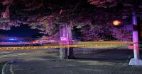 Seattle Police: Man hit, killed while riding e-scooter