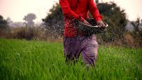 Beyond recipes: Why Food Studies matter in education