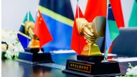 China Embassy Responds to Visa Delays, Denies Barriers for Tanzanian Applicants