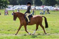 Horse Week: Top-class showing takes centre stage at Antrim Agricultural Show