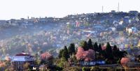 When the Hills Cry: Climate Change and the Changing Face of Ukhrul