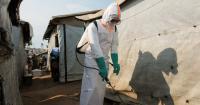 Animal to human: likely root of new Ebola outbreak in DRC and Uganda