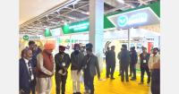 Global Potato Summit returns as India’s potato industry looks to build on its 60-million-tonne crop