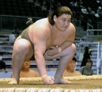 Sumo: Mongolian-born Joshoyu eyes quick rise after pro debut