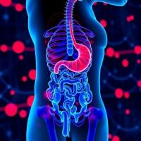 Chinese Medical Journal review examines AI’s role in inflammatory bowel disease management