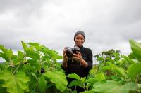 Young Tanzanians turn farming into new route to jobs, business
