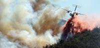 Climate and Sustainability Roundup: The world is on fire and insurers must notice