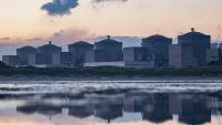 Jellyfish force shutdown of three reactors at France's largest nuclear plant