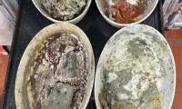 Plane disgusting: 'Rotting food, maggots and cockroaches' found in airline catering facility from company that serves Virgin Atlantic, staff claim