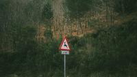 Portugal adds €4 million for wildfire prevention and green spaces