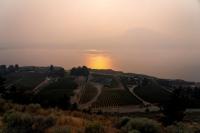 British Columbia winemakers and ranchers flee wildfires, facing uncertain future
