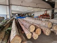 Half of Furniture Manufacturers in Bulgaria Report Worsening Exports, Survey Shows