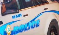 Column: Maui riot throws spotlight on tourism