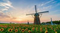 Portugal's most photogenic windmills: A list