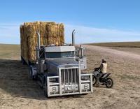 ‘Extreme drought,’ record-breaking heat confront Wyoming ranchers with difficult choices