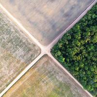 Brazil’s natural areas shrink: Study