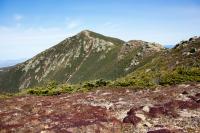 Top 10 Day Trips from Boston: Explore New England in a Single Day